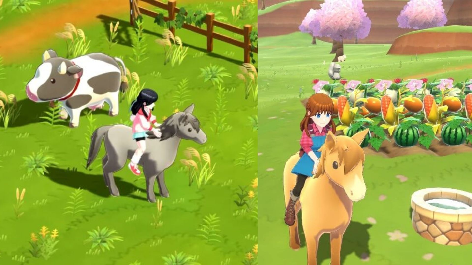 Best Harvest Moon Game